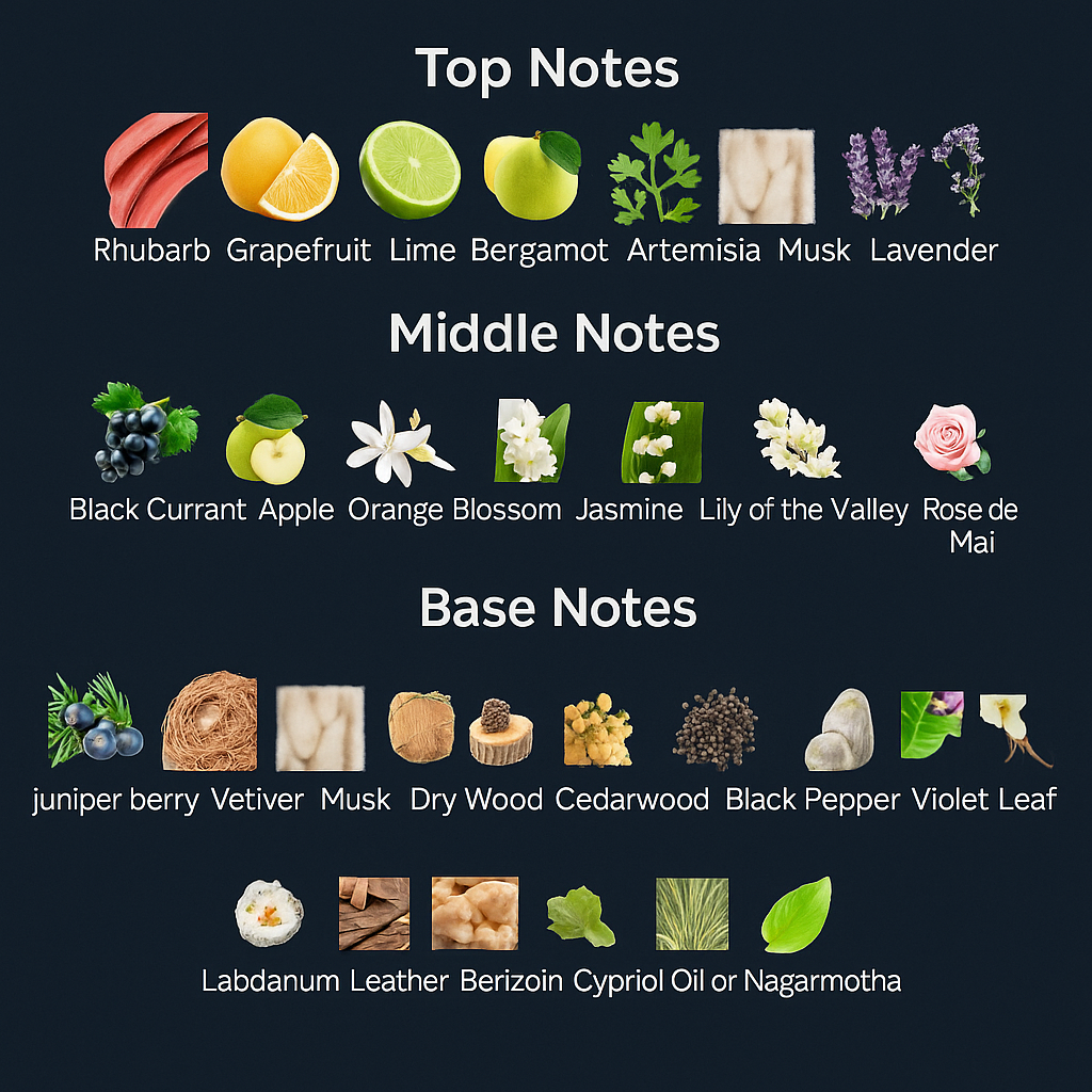 Chart of top, middle, and base notes with corresponding images and names on a dark background