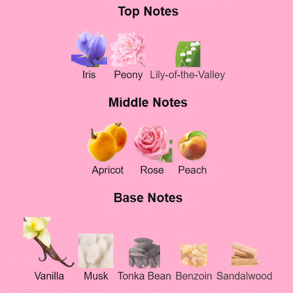 Chart of top, middle, and base notes with corresponding images on a pink background