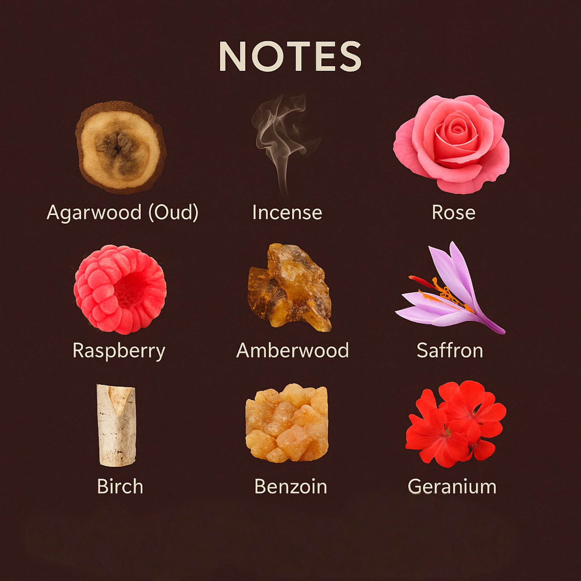 Illustrations of various scents with labels on a dark background